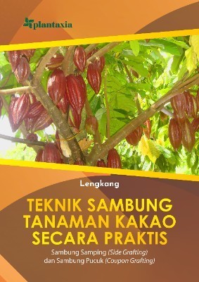 Teknik Sambung Tanaman Kakao Secara Praktis; Sambung Samping (Side Grafting) dan Sambung Pucuk (Coupon Grafting)