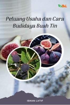 Peluang Usaha dan Cara Budidaya Buah Tin