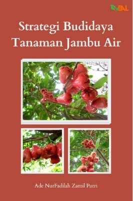 Strategi Budidaya Tanaman Jambu Air
