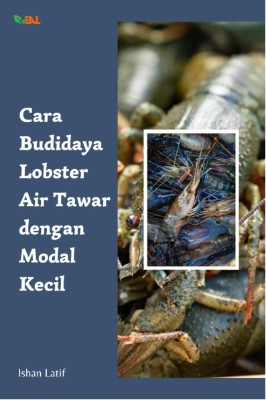Cara Budidaya Lobster Air Tawar dengan Modal Kecil