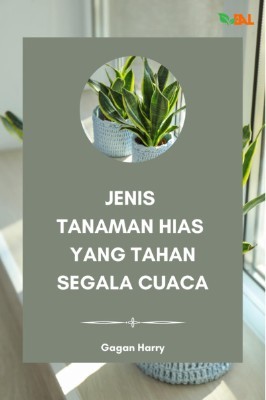 Jenis Tanaman Hias yang Tahan Segala Cuaca