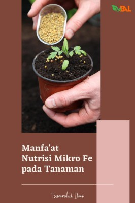 Manfa'at Nutrisi Mikro Fe pada Tanaman