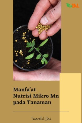 Manfa'at Nutrisi Mikro Mn pada Tanaman