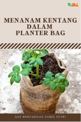 Menanam Kentang dalam Planter Bag