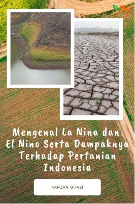 Mengenal La Nina dan El Nino Serta Dampaknya Terhadap Pertanian Indonesia
