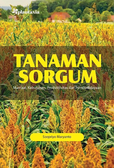 Tanaman Sorgum; Manfaat, Kebutuhan, Produktivitas dan Pembudidayaan