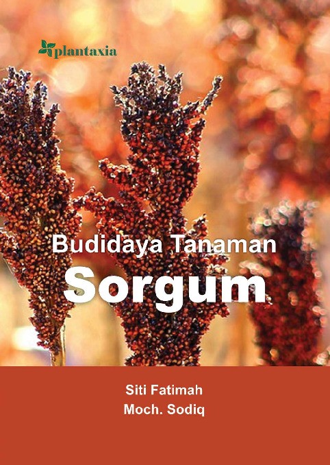Budidaya Tanaman Sorgum
