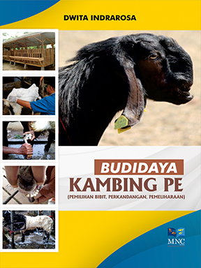 Budidaya Kambing PE (Pemilihan Bibit, Perkandangan, Pemeliharaan)