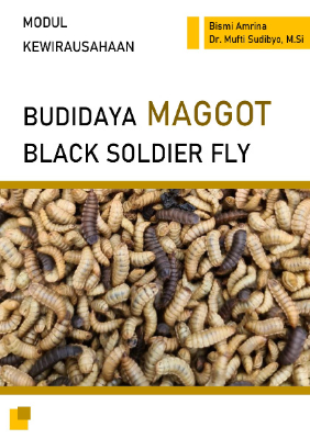 Budidaya Maggot Black Soldier Fly