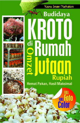Budidaya Kroto di Rumah Omzet Jutaan Rupiah