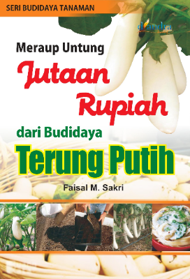 Meraup Untung Jutaan Rupiah dari Budidaya Terung Putih