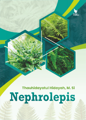 NEPHROLEPIS 