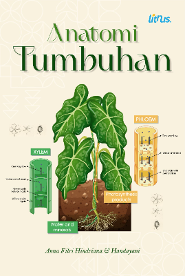 ANATOMI TUMBUHAN