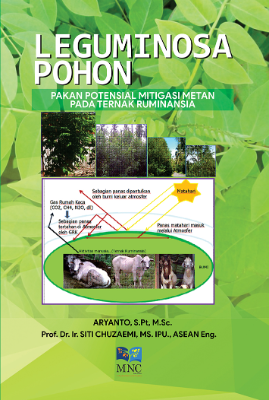 LEGUMINOSA POHON