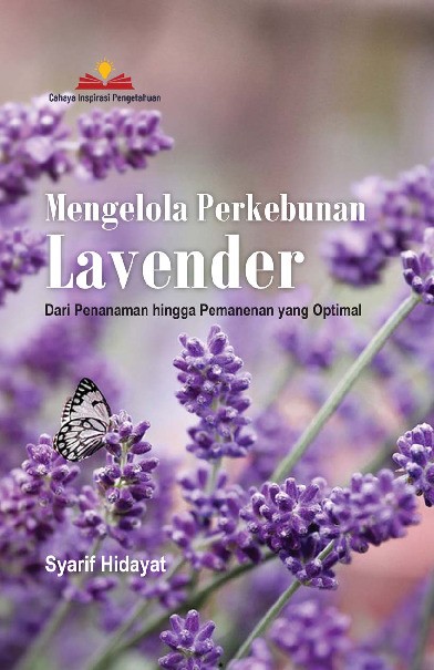 Mengelola Perkebunan Lavender; Dari Penanaman hingga Pemanenan yang Optimal