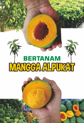 Bertanam Mangga Alpukat