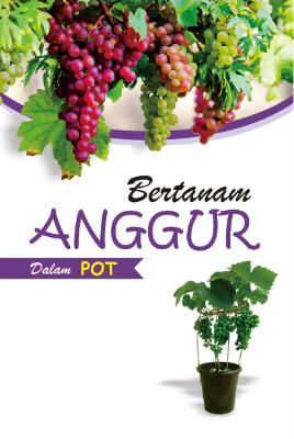 Bertanam Anggur Dalam Pot