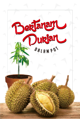 Bertanam Durian Dalam Pot