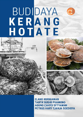 Budidaya Kerang Hotate