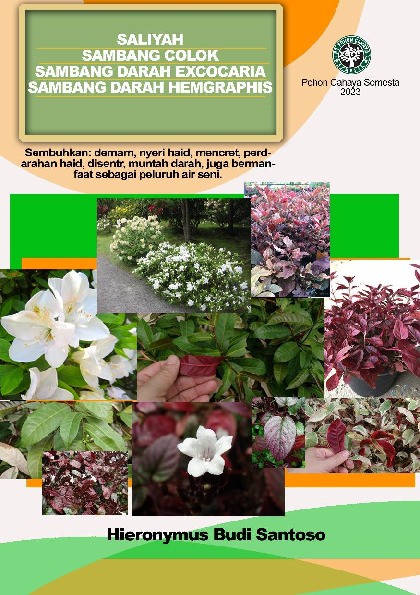 Saliyah, sambang colok, sambang darah excocaria, sambang darah hemgraphis