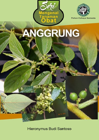 Seri Mengenal Tanaman Obat Anggrung