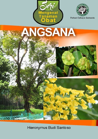 Seri Mengenal Tanaman Obat Angsana