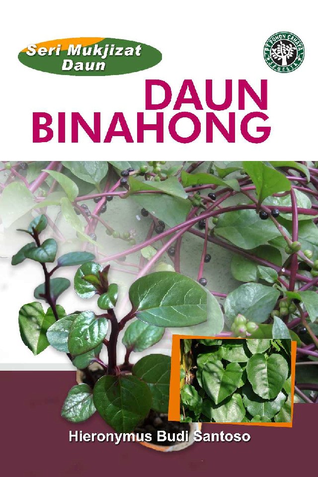 Seri Mukjizat Daun : Daun Binahong