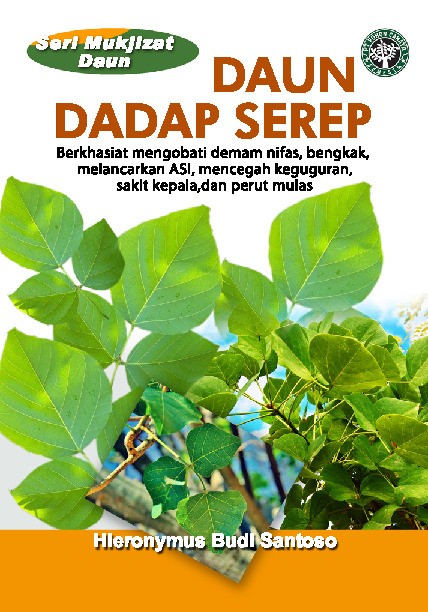 Seri Mukjizat Daun : Daun Dadap Serep
