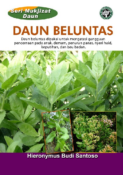 Seri Mukjizat Daun : daun Beluntas