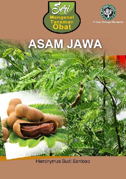 Seri Mengenal Tanaman Obat: Asam Jawa