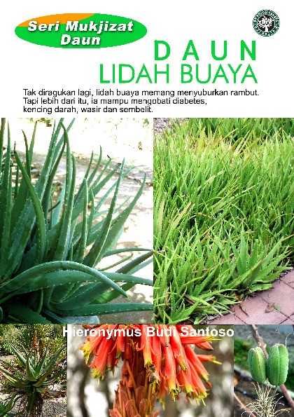 Seri Mukjizat Daun : Daun Lidah Buaya