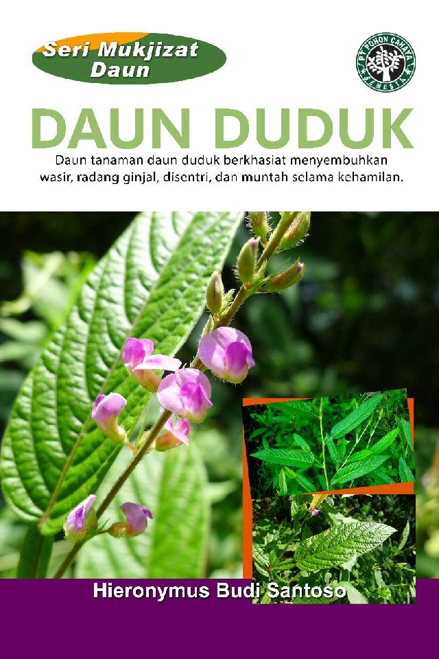 Seri Mukjizat Daun : Daun Duduk