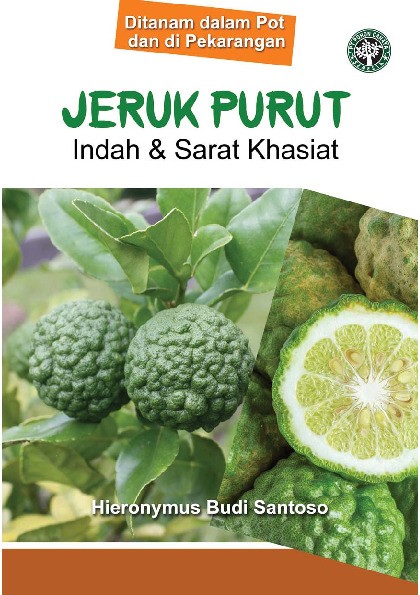 Jeruk Purut Indah Dan Sarat Khasiat