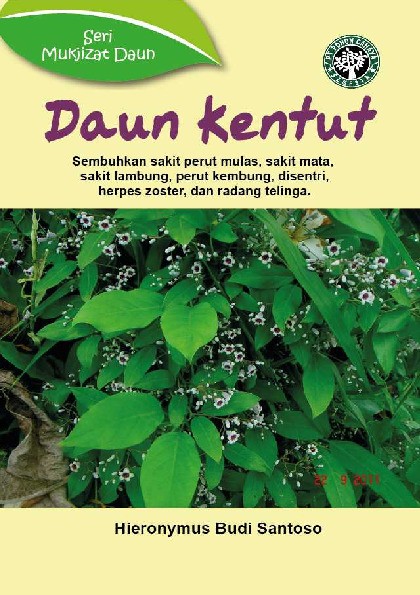 Seri Mukjizat Daun : Daun Kentut