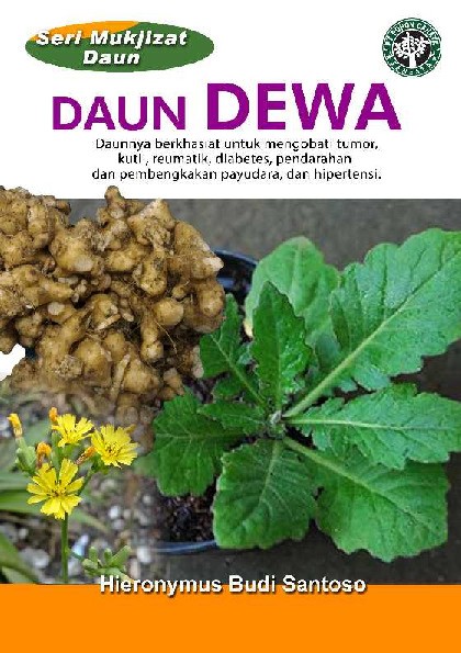 Seri Mukjizat Daun : Daun Dewa