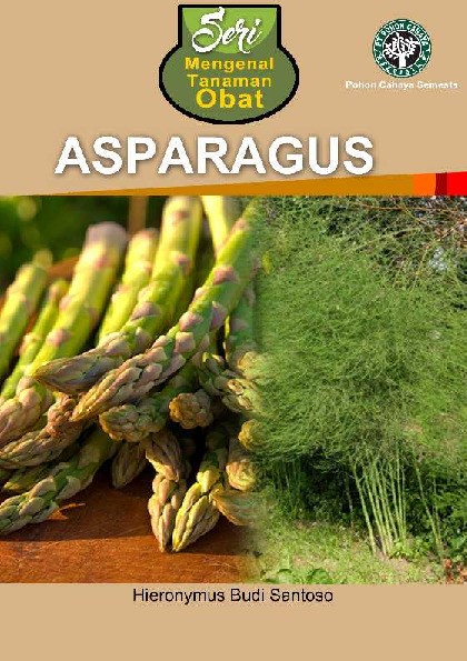 Seri Mengenal Tanaman Obat: Asparagus