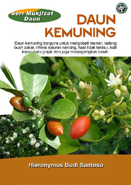 Seri Mukjizat Daun : Daun Kemuning