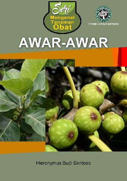 Seri Mengenal Tanaman Obat: Awar-Awar