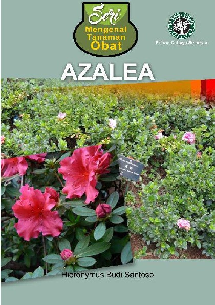 Seri Mengenal Tanaman Obat: Azalea