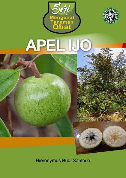 Apel Ijo