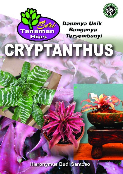 Cryptanthus daunnya unik bunganya tersembunyi