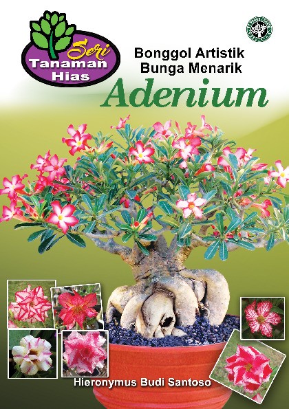 Seri Tanaman Hias; Adenium; Bonggol Artistik Bunga Menarik