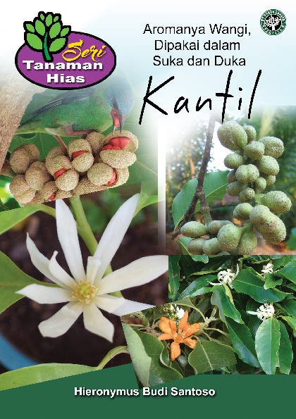 Seri Tanaman Hias; Kantil; Aromanya Wangi, Dipakai dalam Suka dan Duka