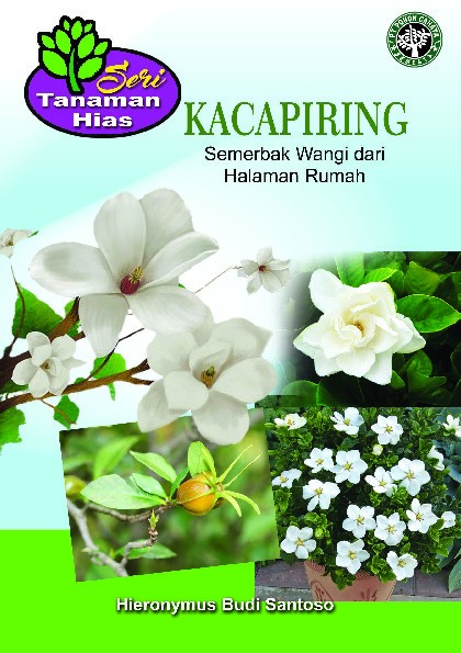 Kacapiring semerbak wangi dari halaman rumah  