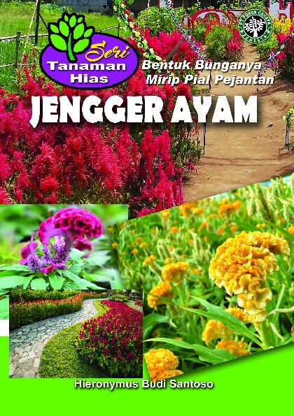 Jengger ayam bentuk bunganya mirip pial pejantan 