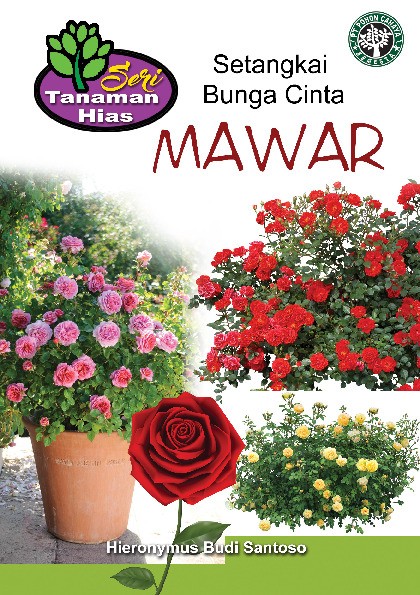 Mawar Setangkai Bunga Cinta