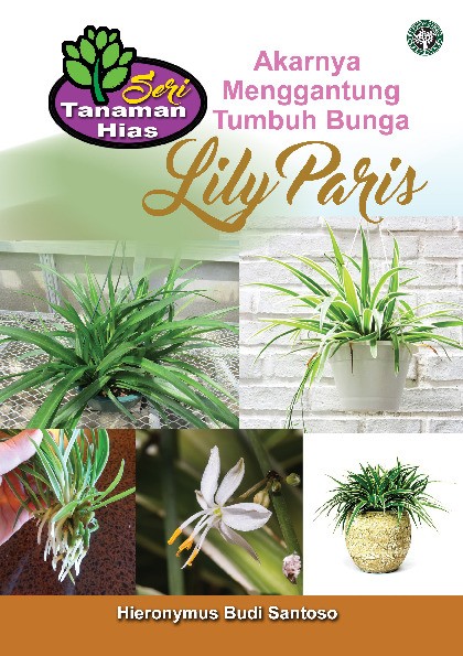 Seri Tanaman Hias; Lily Paris; Akarnya Menggantung Tumbuh Bunga