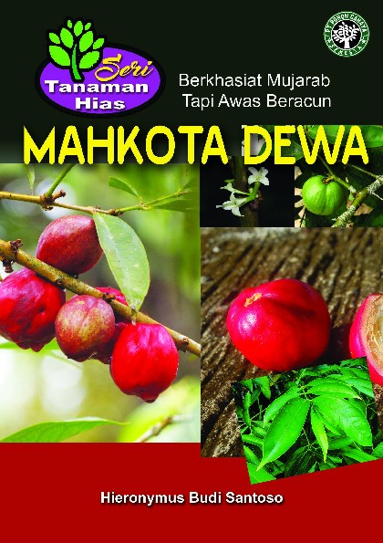 Seri Tanaman Hias; Mahkota Dewa; Berkhasiat Mujarab Tapi Awas Beracun