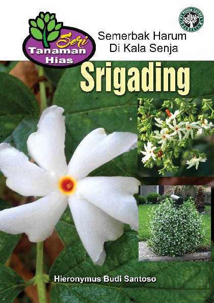 Srigading Semerbak Harum di Kala Senja
