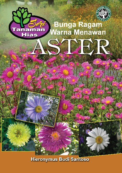 Aster Bunga Ragam Warna Menawan